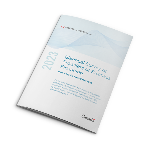Biannual Survey of Suppliers of Business Financing — Data analysis, second half 2023