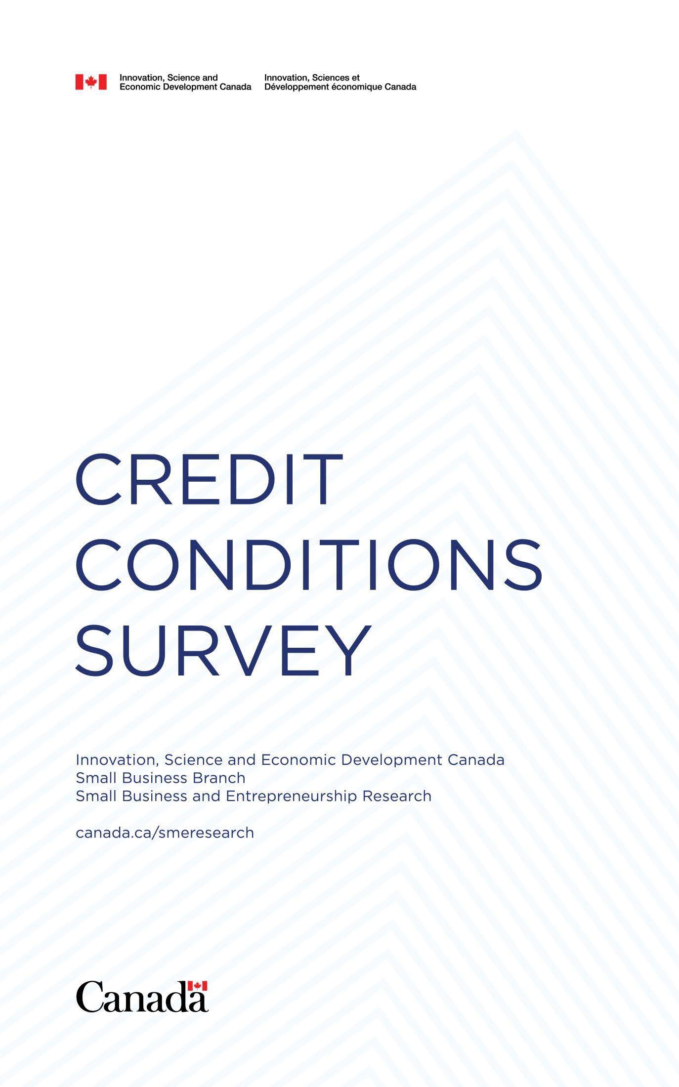 Credit Conditions Survey (2025)