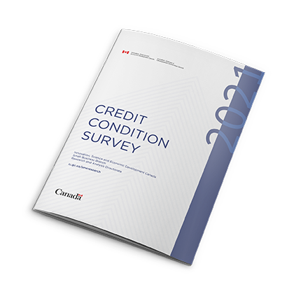 Credit Conditions Survey