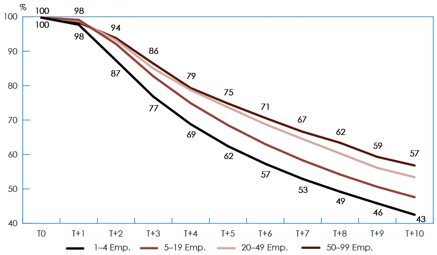 Line chart illustrating the Average Survival Rate by Initial Firm Size (the long description is located below the image)