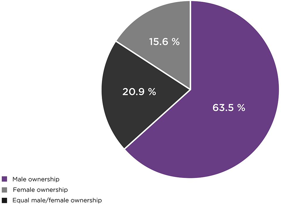 Pie chart representing Gender distribution of SME ownership (the long description is located below the image)