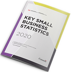 Cover of report: Key Small Business Statistics — 2020