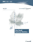 Cover of the Key Small Business Statistics - May 2003 publication