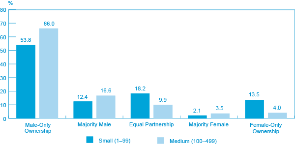 Figure 14: Business Ownership Gender Distribution by Enterprise Size, 2011 (the long description is located below the image)
