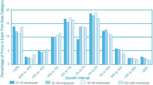 Figure 4: Bar chart illustrating the distribution of all Firms Based on Average Annual Employment Growth, by Firm Size, 2001-2006 (the long description is located below the image)