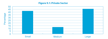Figure 9.1: Private Sector (the long description is located below the image)