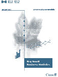 Cover of the Key Small Business Statistics - Jan. 2007 publication