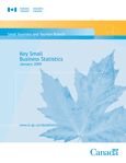 Cover of the Key Small Business Statistics - Jan. 2009 publication