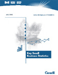 Cover of the Key Small Business Statistics - July 2002 publication