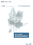 Cover of the Key Small Business Statistics - July 2005 publication