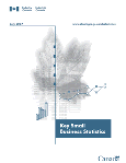 Cover of the Key Small Business Statistics - July 2007 publication