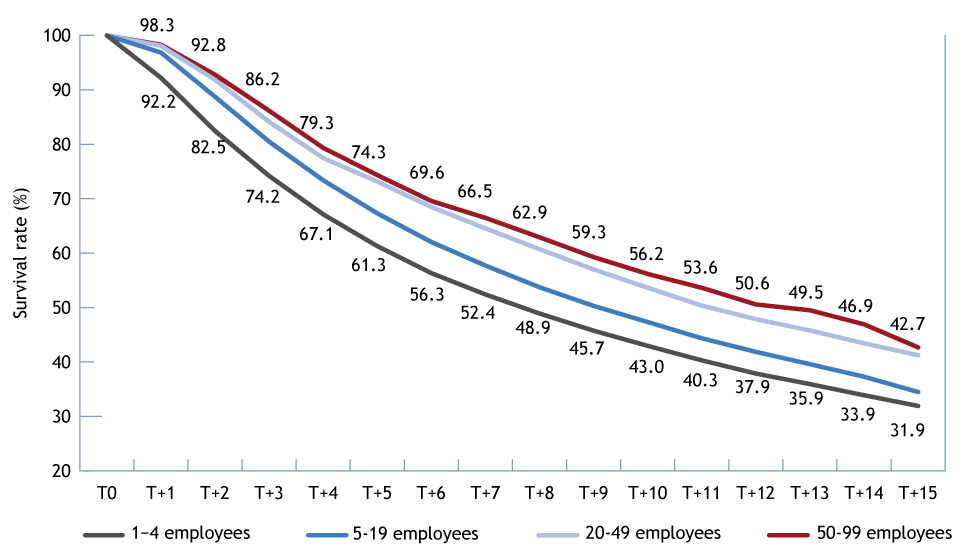 Line chart illustrating the Survival Rate by Initial Business Size (the long description is located below the image)