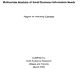 Cover of the Multivariate Analysis of Small Business Information Needs report