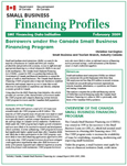 Cover of the Financing Profile: Borrowers under the Canada Small Business Financing Program
