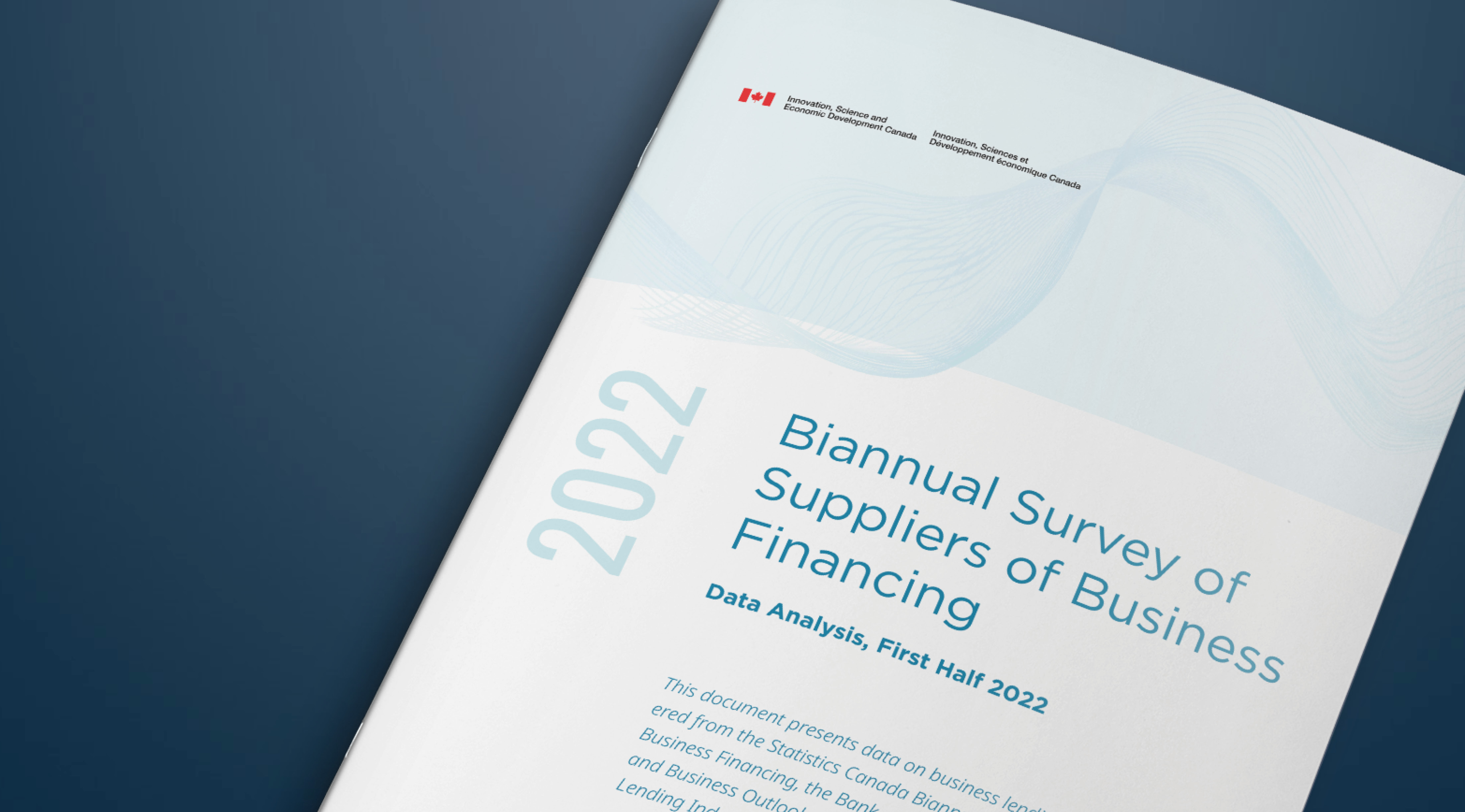 Biannual Survey of Suppliers of Business Financing — Data analysis, first half 2022