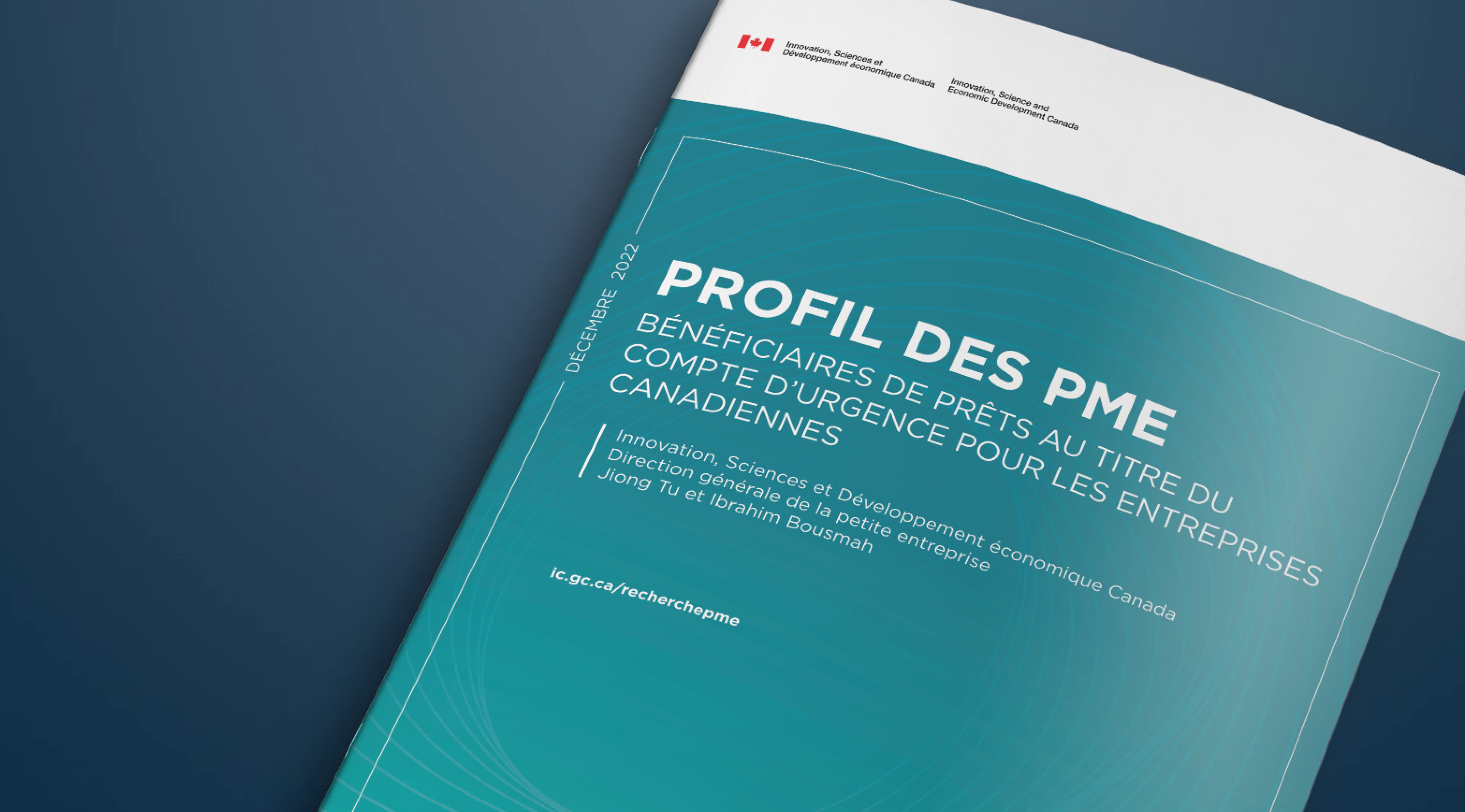 Profil des PME : bénéficiaires de prêts au titre du Compte d'urgence pour les entreprises canadiennes