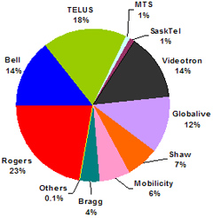 Pie Chart of Percentage of Total Holdings  (the link to the long description is located below the image)