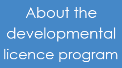 About the developmental licence program
