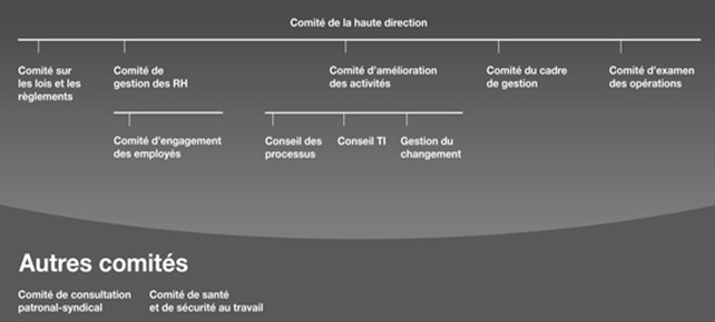 Tableau illustrant la structure de gouvernance actuelle en date de novembre 2012 (la description détaillée se trouve sous l'image)